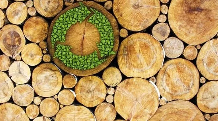 Adah – Por que escolher instrumentos 100% nacionais é uma decisão mais inteligente e sustentável